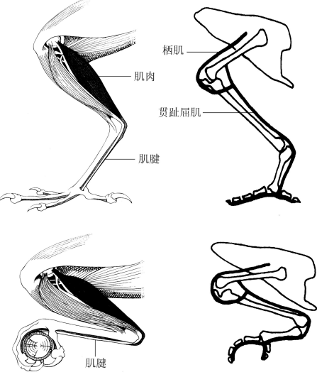 image-20250619195958504